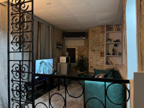 Entire Modern studioin zamalek